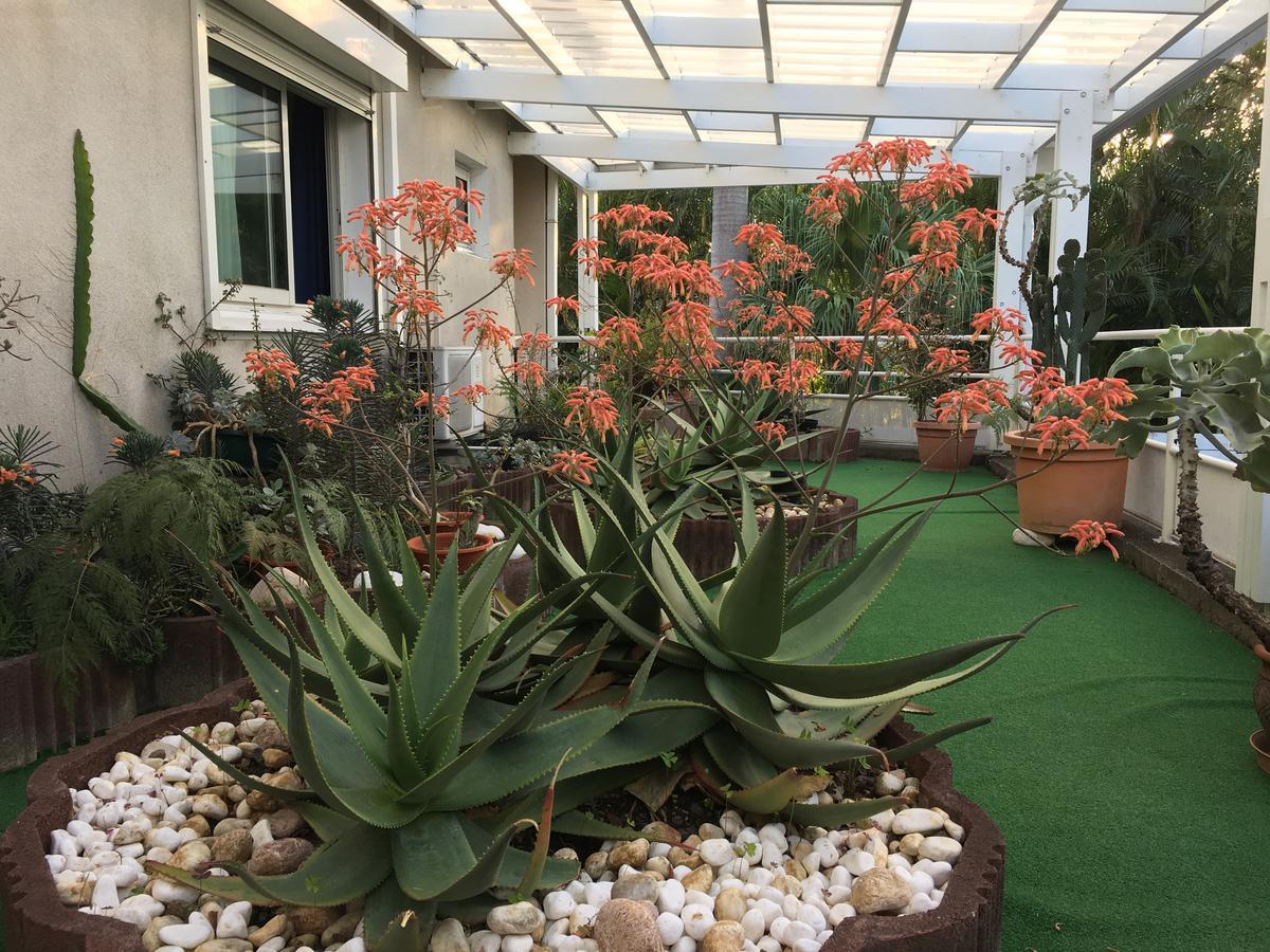 Hotel Residence Le Phoenix Saint Pierre Zewnętrze zdjęcie
